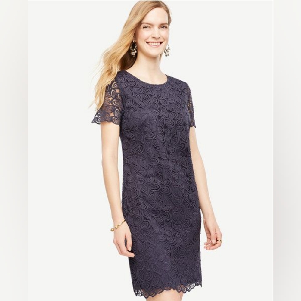 EUC•Ann Taylor Elegant Lace Dress w/See-Through Lace Sleeves•Navy Blue•Petite 4